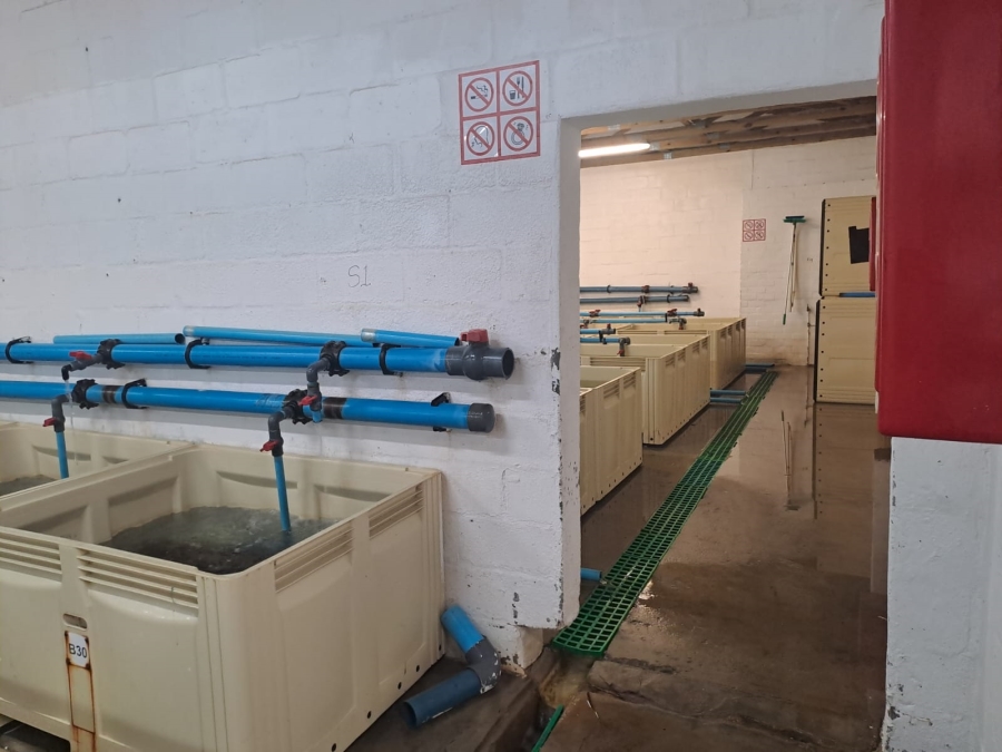 Commercial Property for Sale in Kleinmond Western Cape